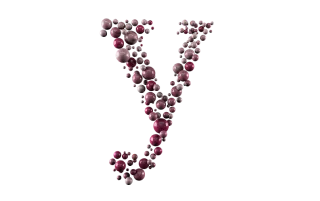 Portfolio: YCare logo